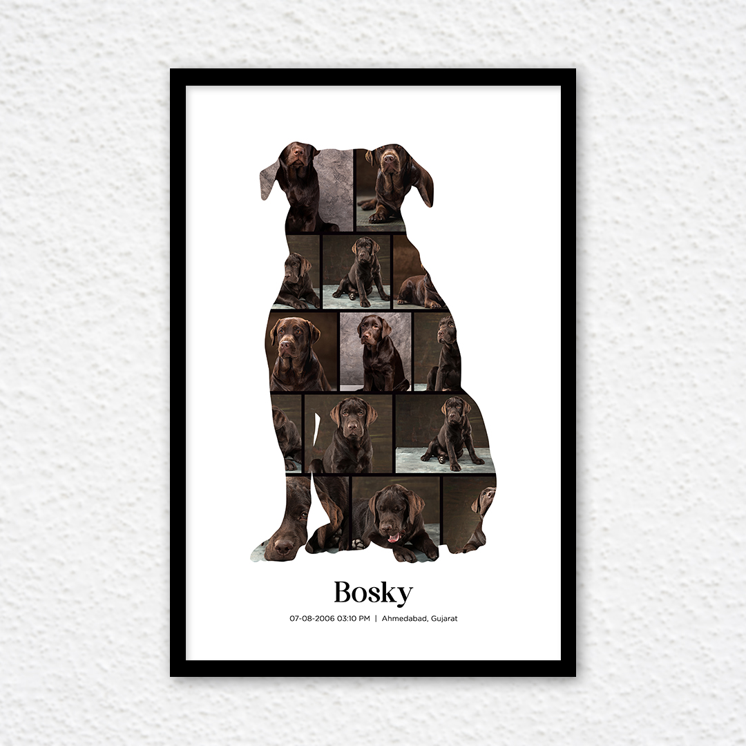 unique pet frame a memorable framed gift to show love for your pet